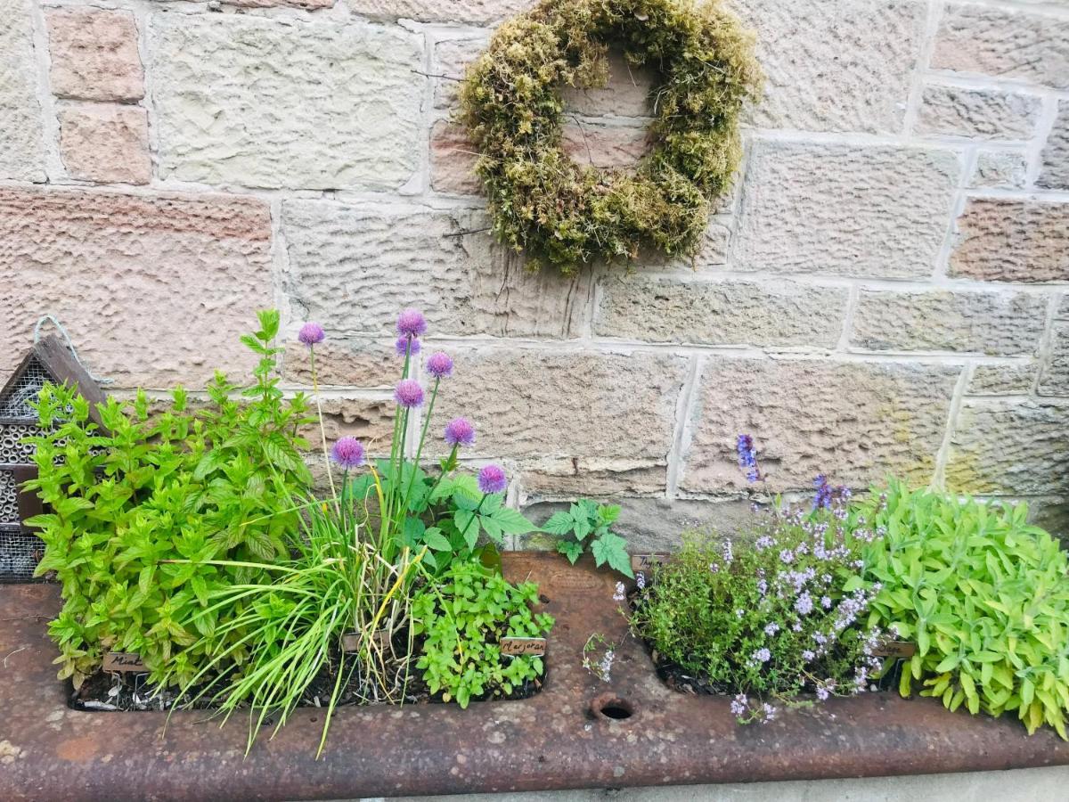 Brylach Steading Aberlour Exterior photo